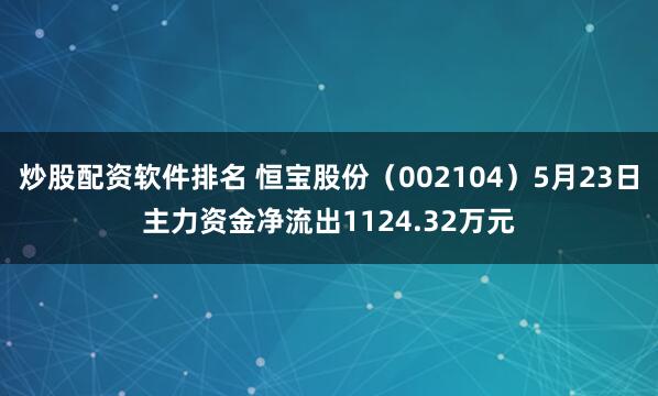 炒股配资软件排名 恒宝股份（002104）5月23日主力资金净流出1124.32万元