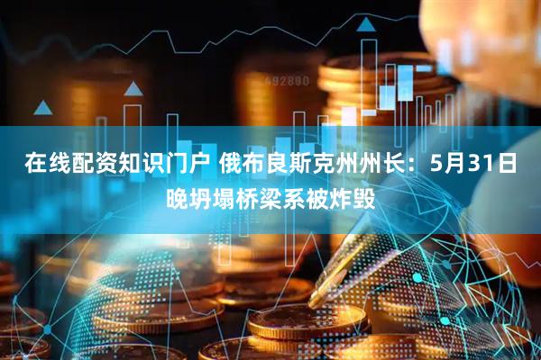 在线配资知识门户 俄布良斯克州州长：5月31日晚坍塌桥梁系被炸毁
