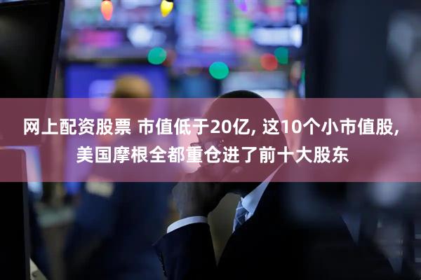 网上配资股票 市值低于20亿, 这10个小市值股, 美国摩根全都重仓进了前十大股东