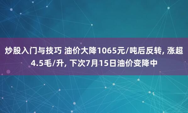 炒股入门与技巧 油价大降1065元/吨后反转, 涨超4.5毛/升, 下次7月15日油价变降中